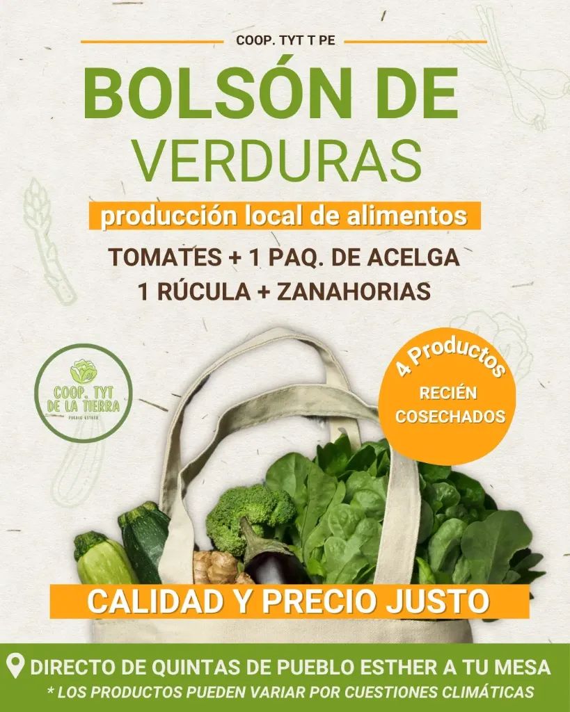 [FYV1255] Bolson chico de verduras agroecologicas (ver descripcion) - Coop. de TyT de la Tierra de Pueblo Esther