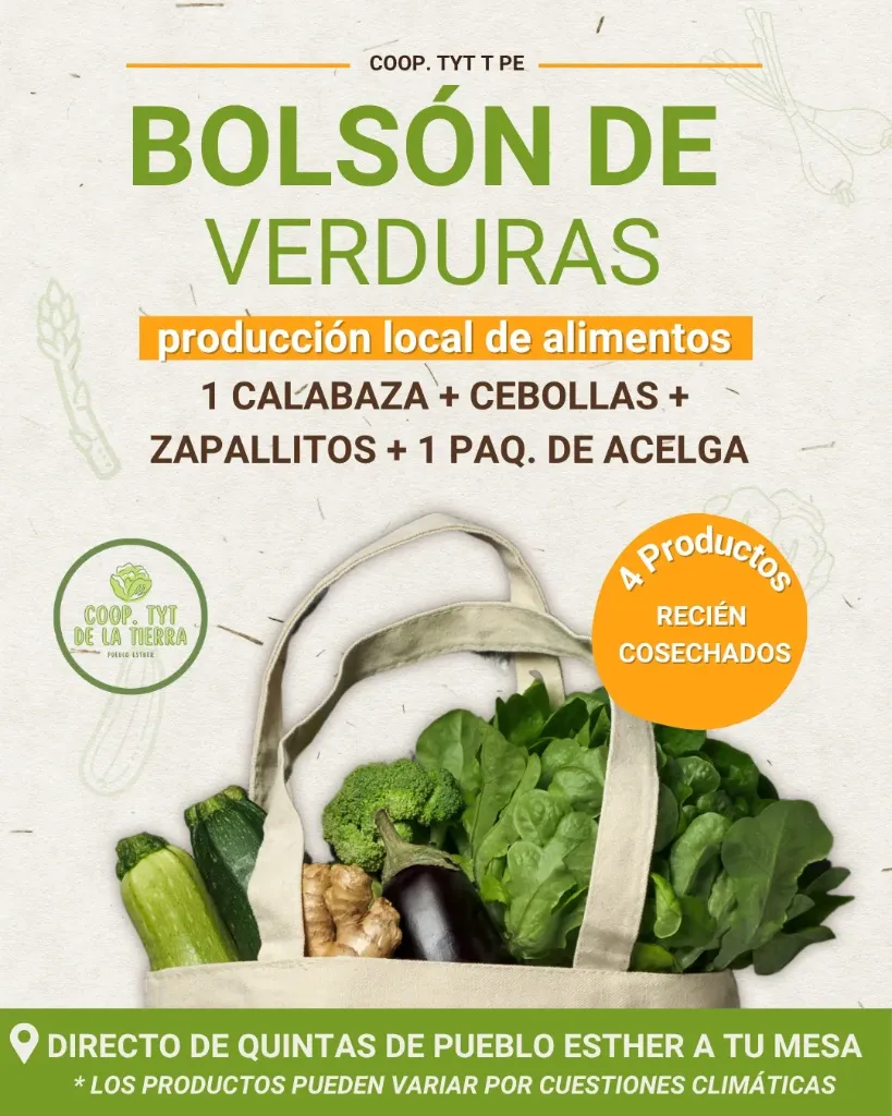 [FYV1255] Bolson chico de verduras agroecologicas (ver descripcion) - Coop. de TyT de la Tierra de Pueblo Esther