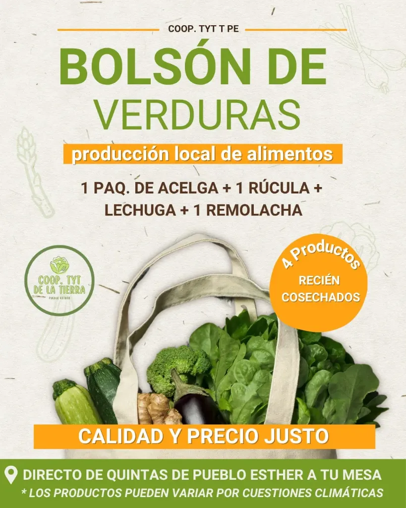 [FYV1255] Bolson chico de verduras agroecologicas (ver descripcion) - Coop. de TyT de la Tierra de Pueblo Esther