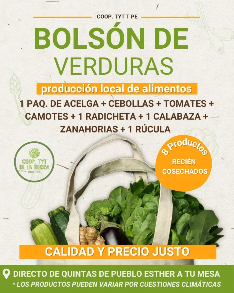 [FYV1254] Bolson grande de verduras agroecologicas (ver descripcion) - Coop. de TyT de la Tierra de Pueblo Esther
