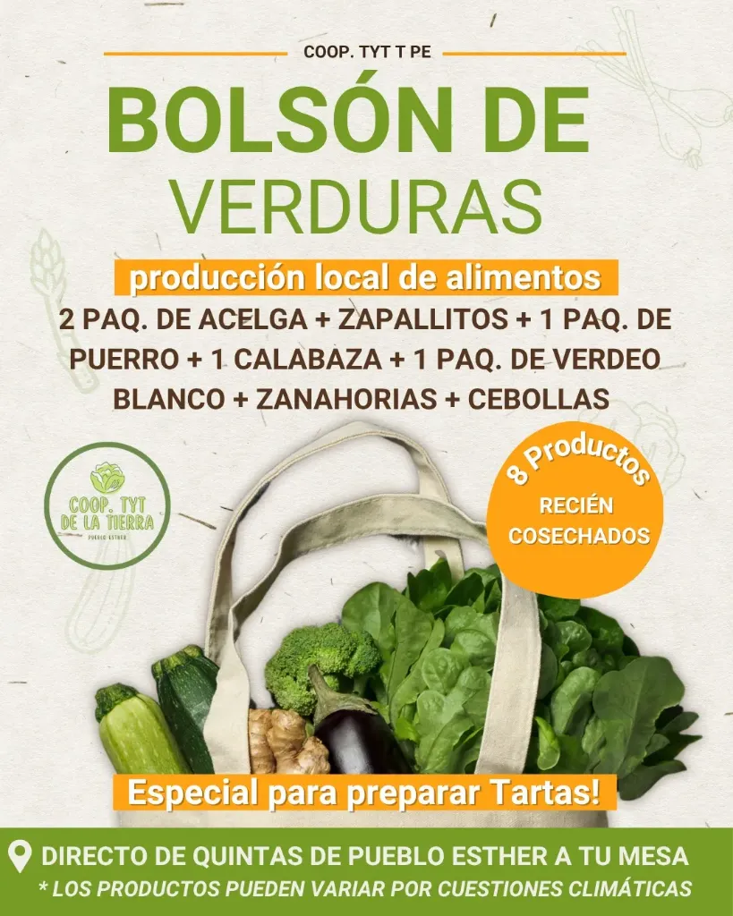 [FYV1254] Bolson grande de verduras agroecologicas (ver descripcion) - Coop. de TyT de la Tierra de Pueblo Esther