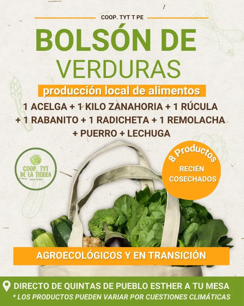 [FYV1254] Bolson grande de verduras agroecologicas (ver descripcion) - Coop. de TyT de la Tierra de Pueblo Esther