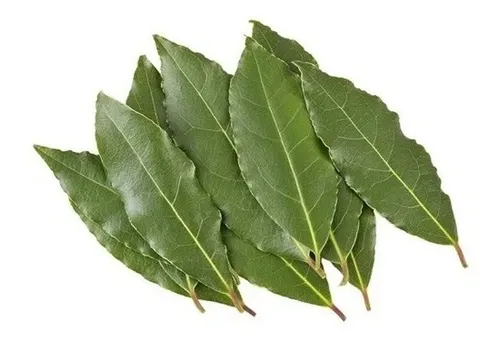 Atado de laurel fresco - Misión y verdulería La Fruta Ama - Misión y verdulería La Fruta Ama