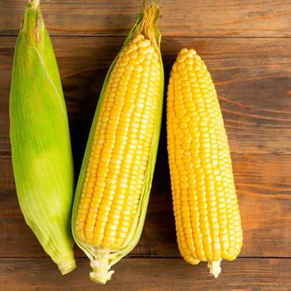 [FYV1253] Choclos 3 unid - Misión y verdulería La Fruta Ama