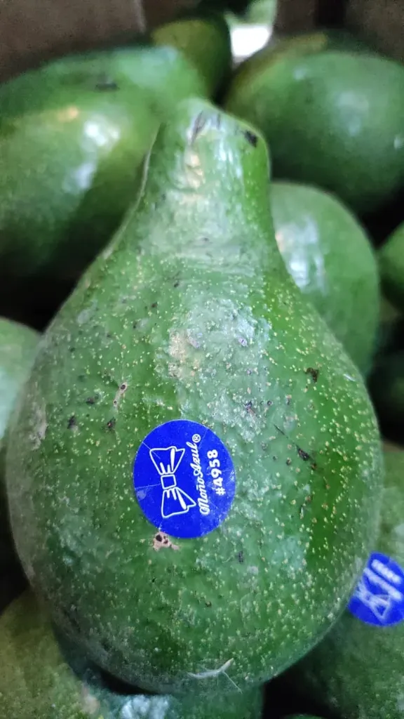 [FYV90003] Palta tucumana grande - Misión y verdulería La Fruta Ama