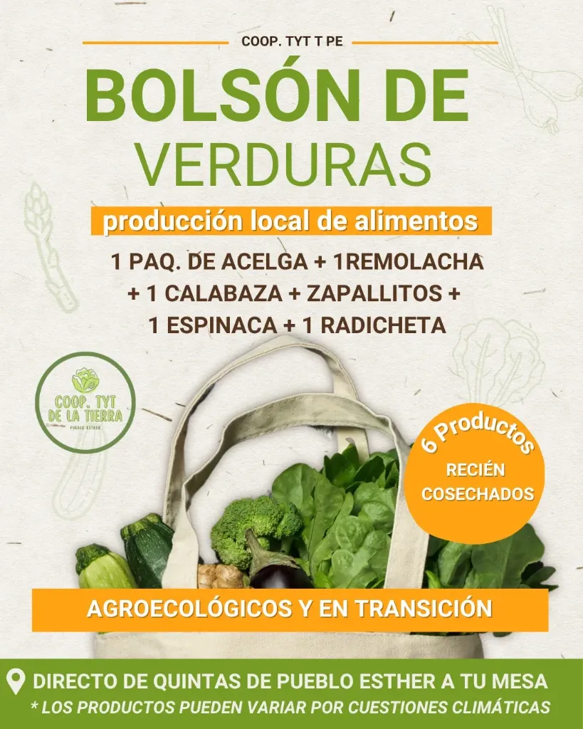 Bolsón de verduras agroecológicas (ver descripción) - Coop. de TyT de la Tierra de Pueblo Esther