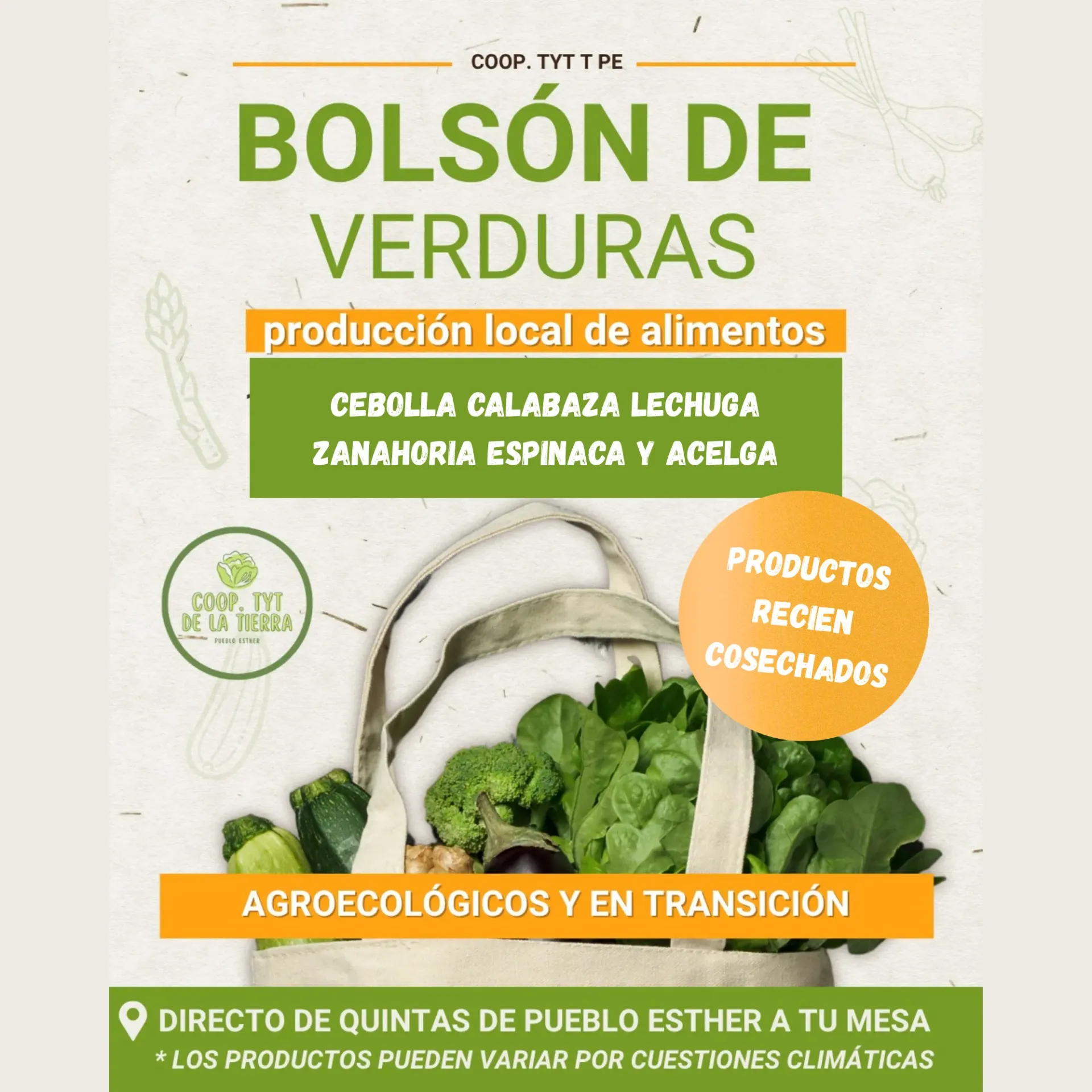 [PRD0016] Bolsón de verduras agroecológicas (ver descripción) - Coop. de TyT de la Tierra de Pueblo Esther
