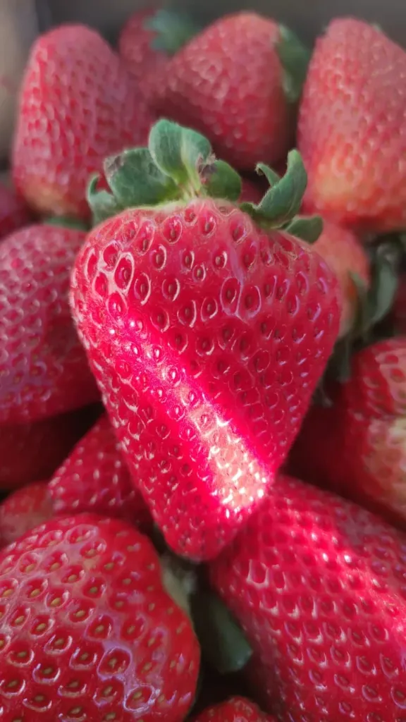 Frutillas 250 g - Misión y verdulería La Fruta Ama
